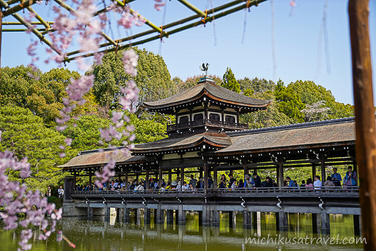 桜と平安神宮神苑の泰平閣