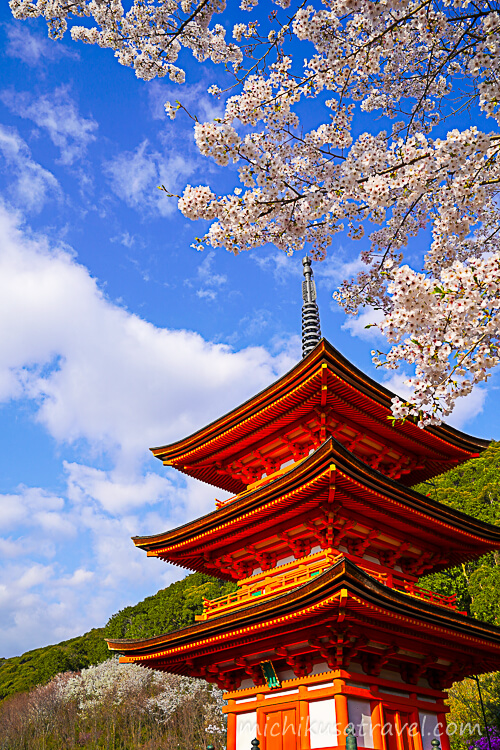 桜と三重塔