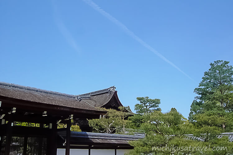 仁和寺御殿の檜皮葺の屋根と庭木