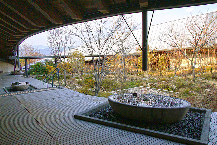 高知県立牧野植物園の園内
