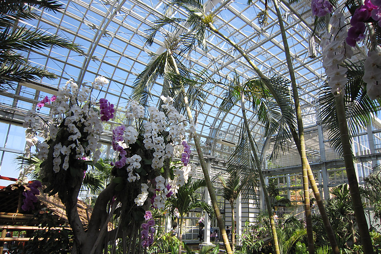 高知県立牧野植物園の温室