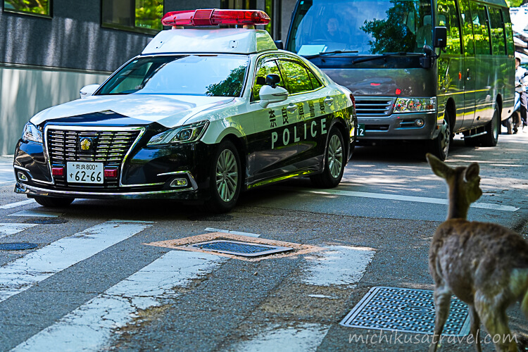 奈良のパトカー
