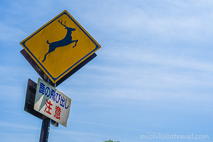 奈良の道草