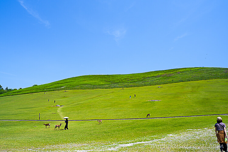 若草山