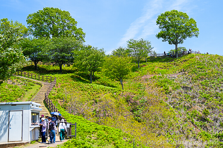 若草山