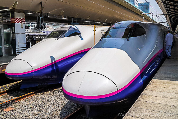 東京駅（新幹線E2系電車）