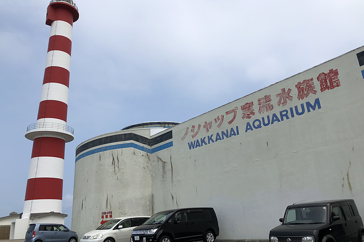 わっかりうむのノシャップ寒流水族館と稚内灯台